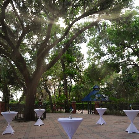 Hilton Garden Inn Tampa East Brandon Mango Εξωτερικό φωτογραφία
