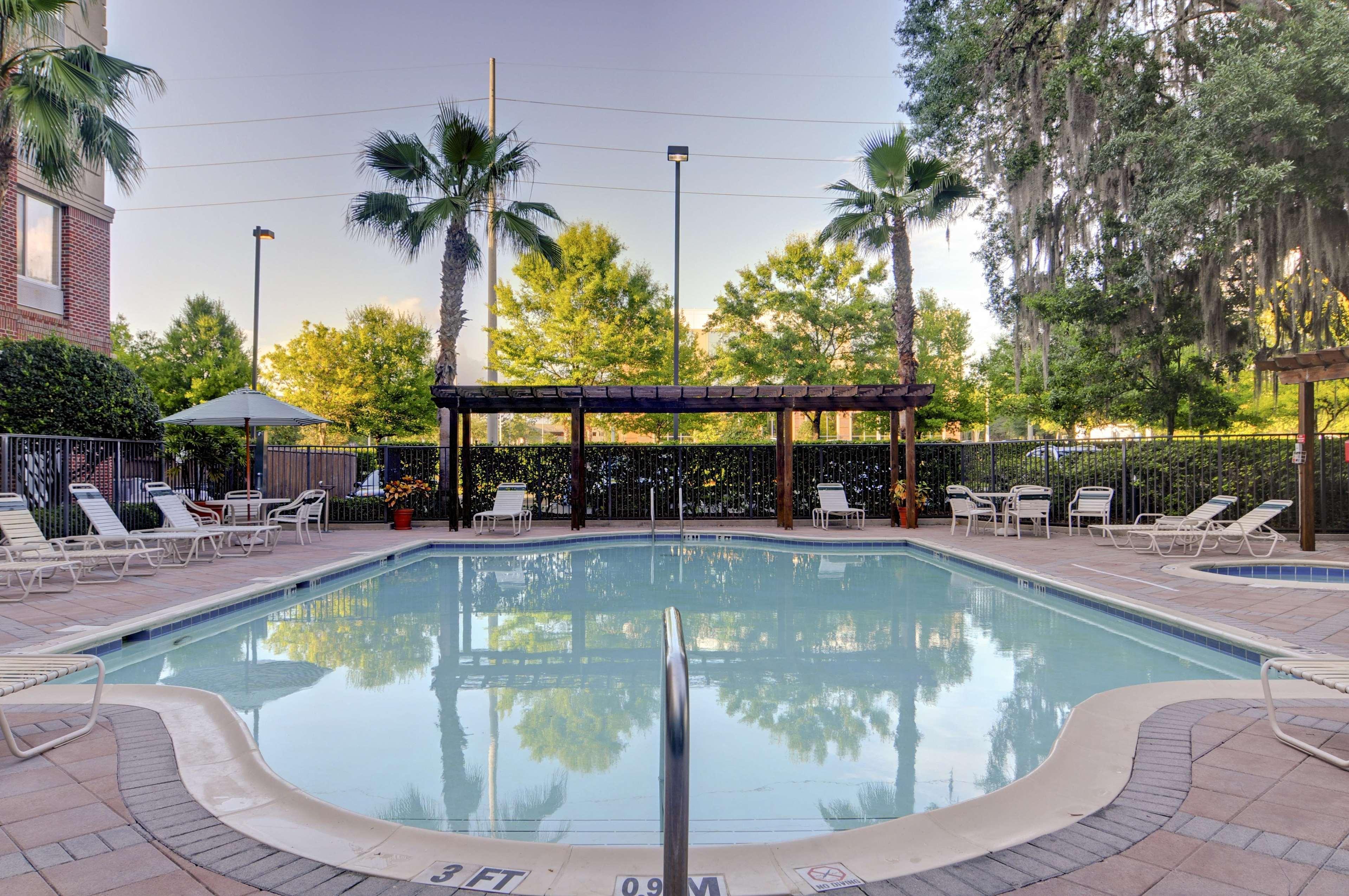 Hilton Garden Inn Tampa East Brandon Mango Εξωτερικό φωτογραφία