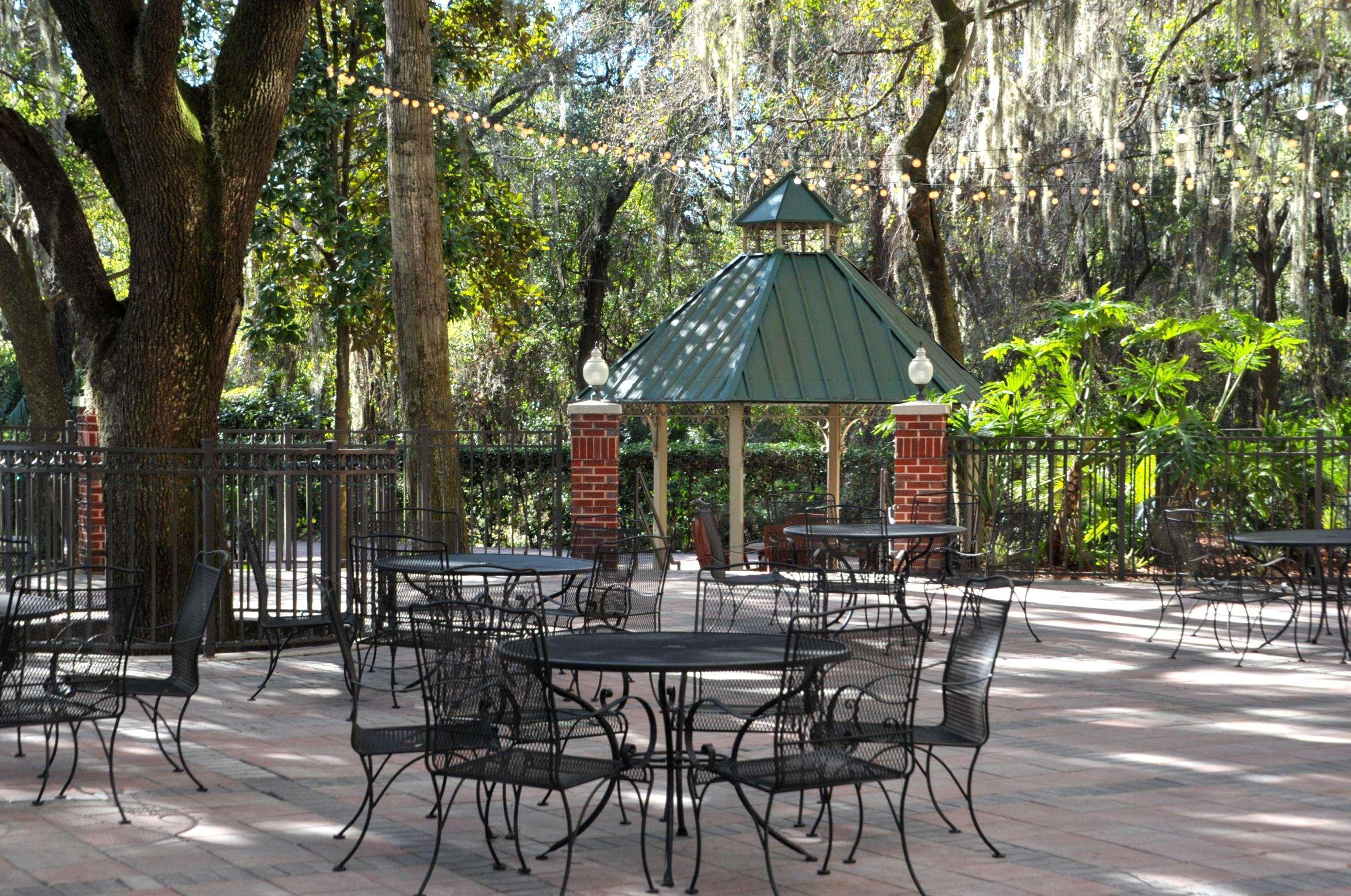 Hilton Garden Inn Tampa East Brandon Mango Εξωτερικό φωτογραφία