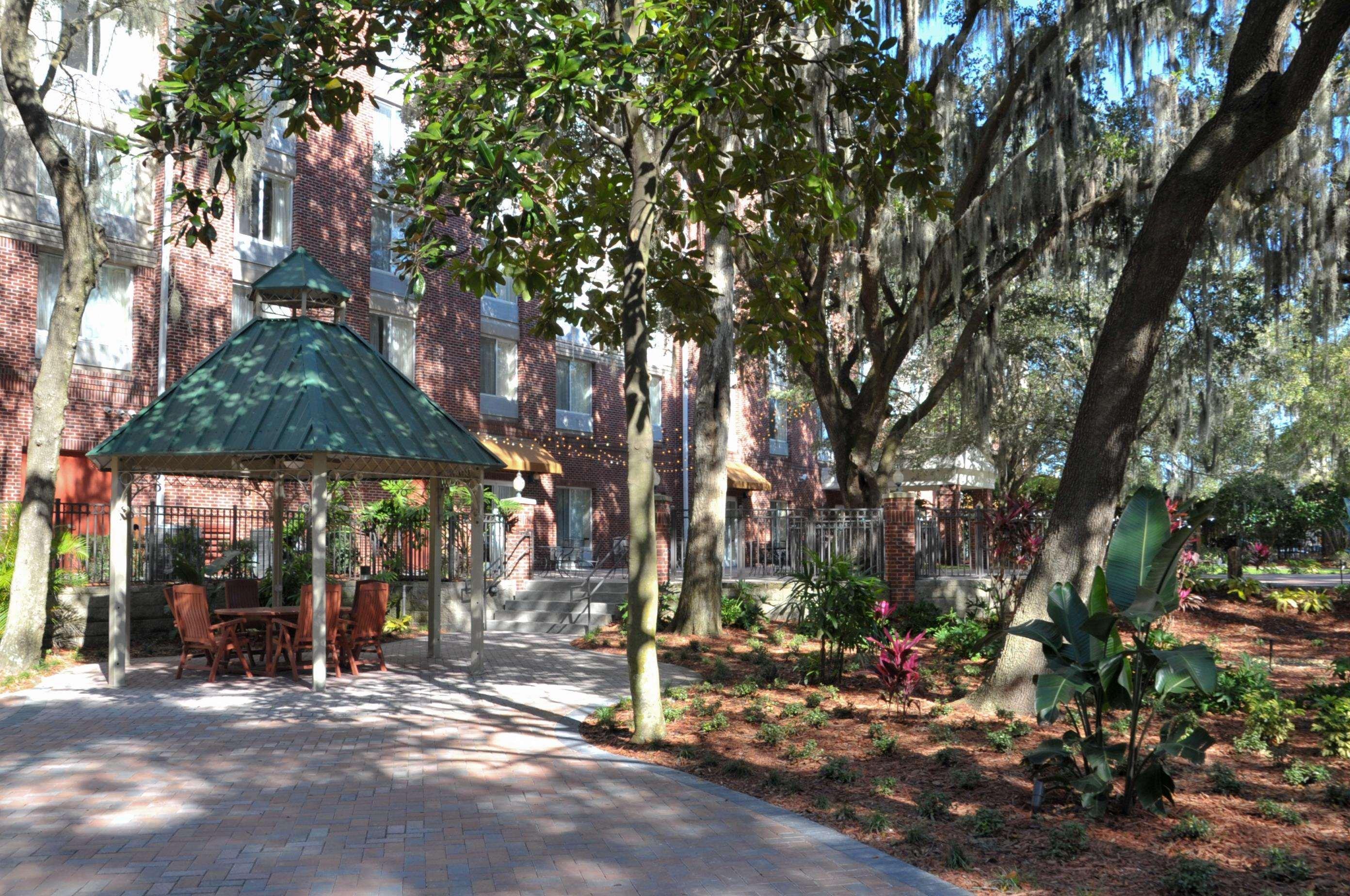 Hilton Garden Inn Tampa East Brandon Mango Εξωτερικό φωτογραφία