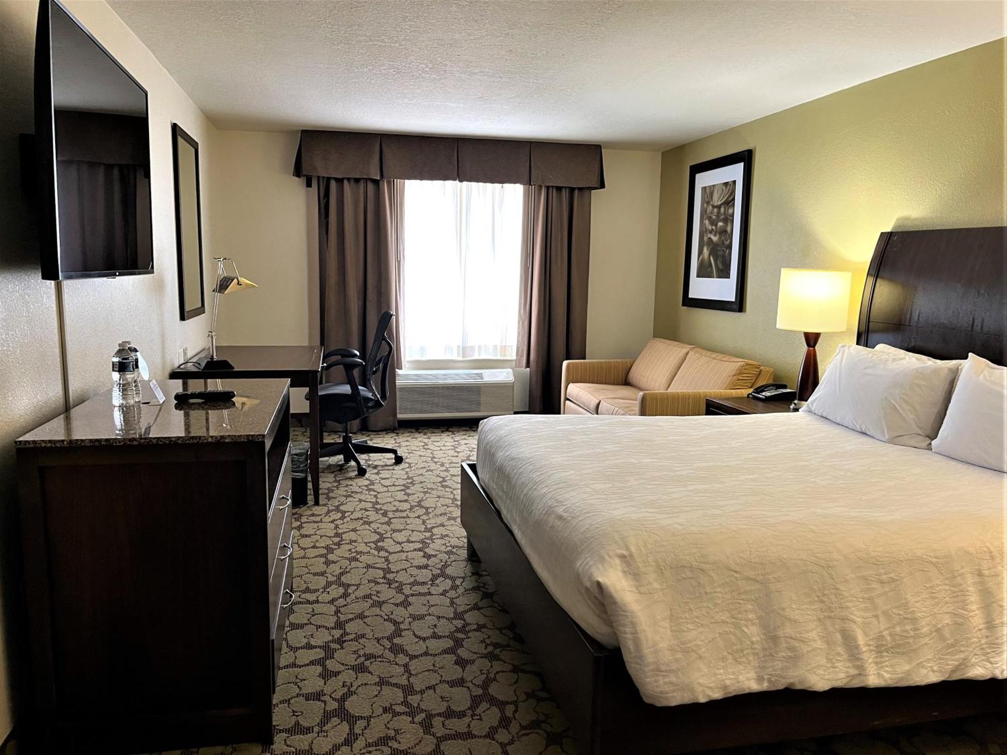 Hilton Garden Inn Tampa East Brandon Mango Εξωτερικό φωτογραφία