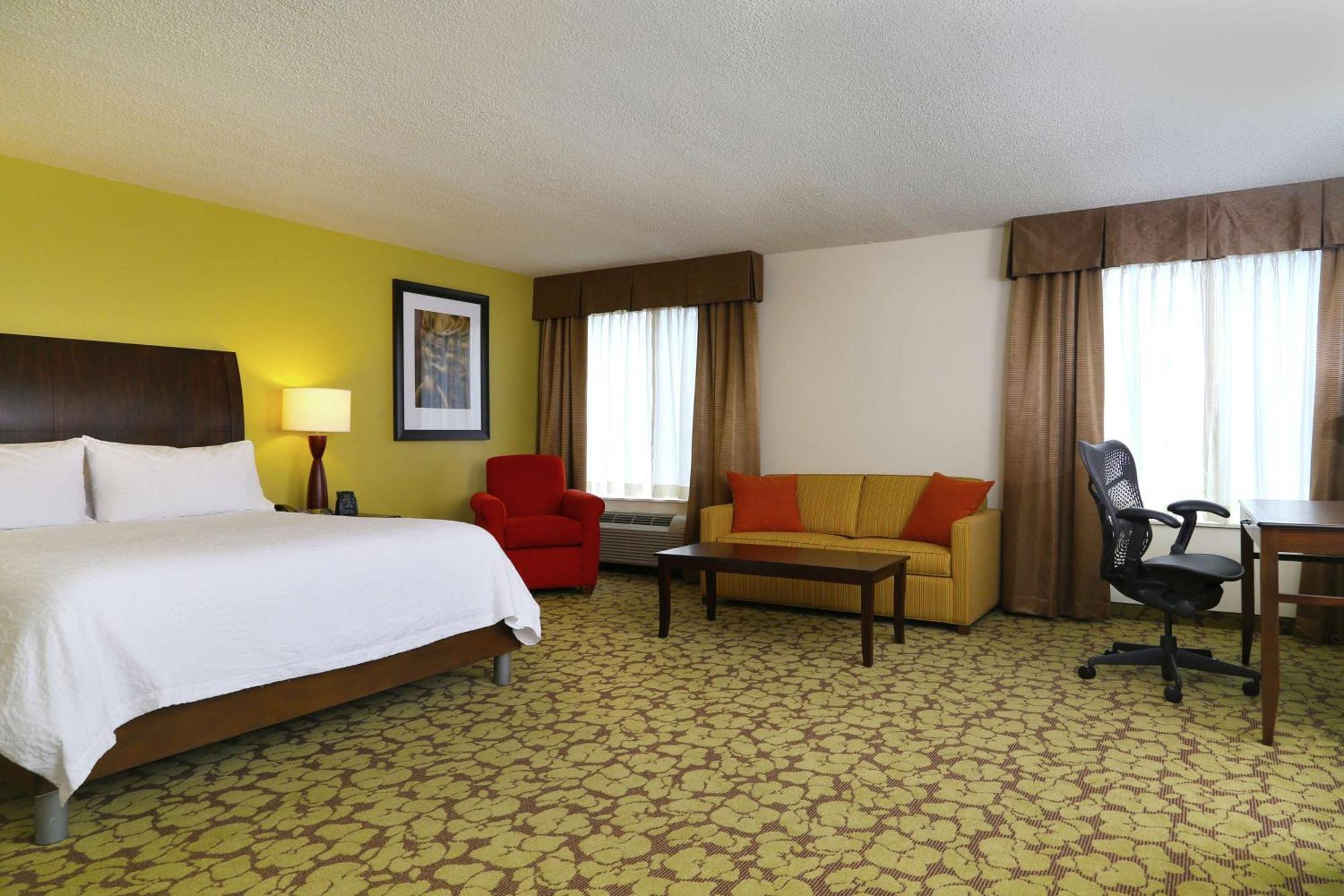 Hilton Garden Inn Tampa East Brandon Mango Εξωτερικό φωτογραφία