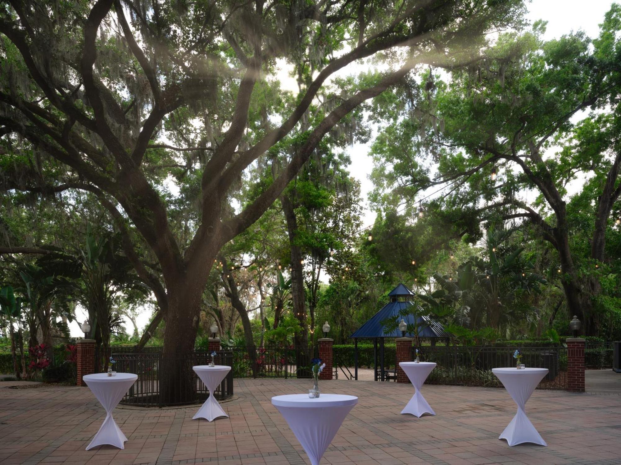 Hilton Garden Inn Tampa East Brandon Mango Εξωτερικό φωτογραφία