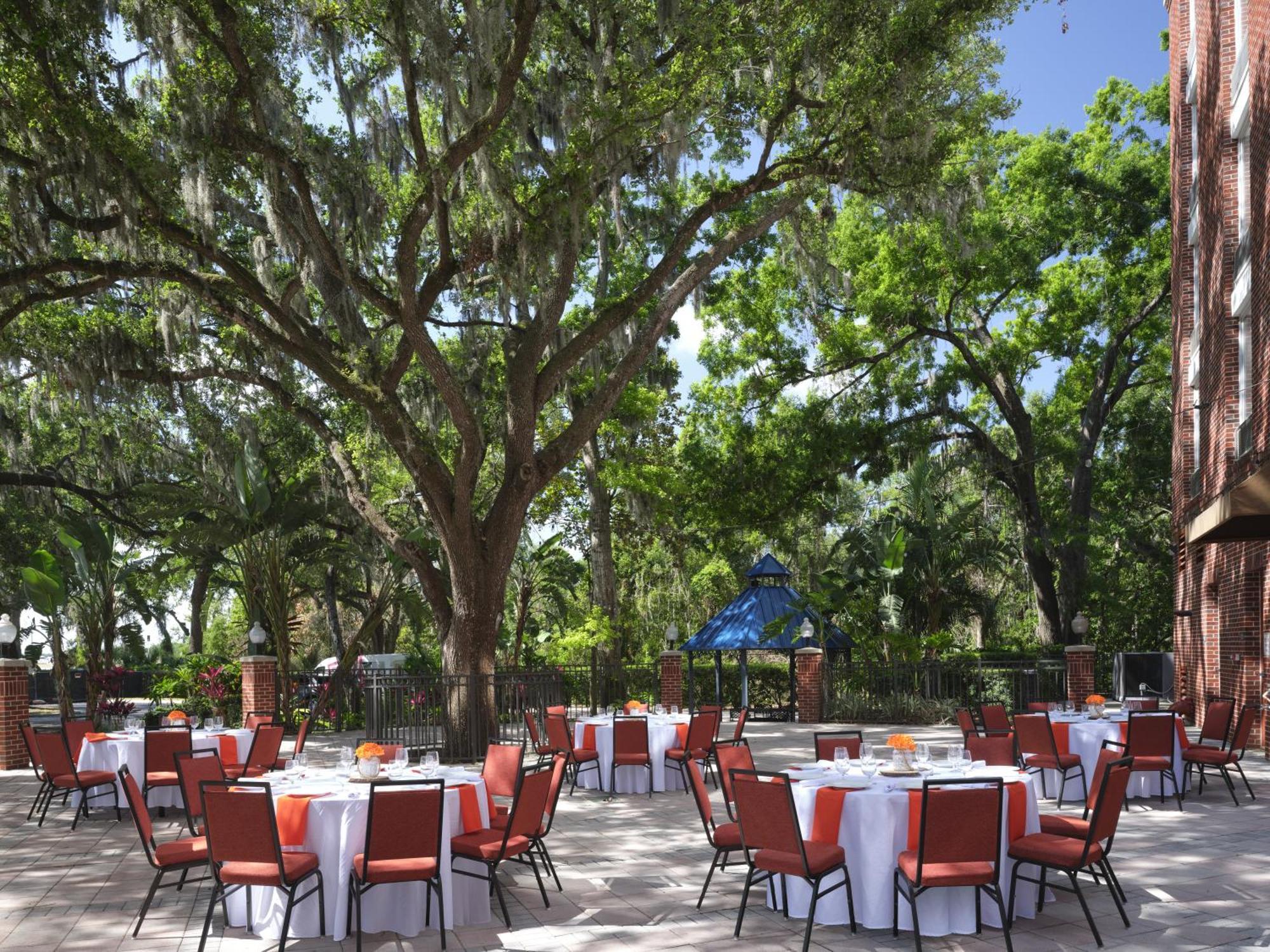Hilton Garden Inn Tampa East Brandon Mango Εξωτερικό φωτογραφία